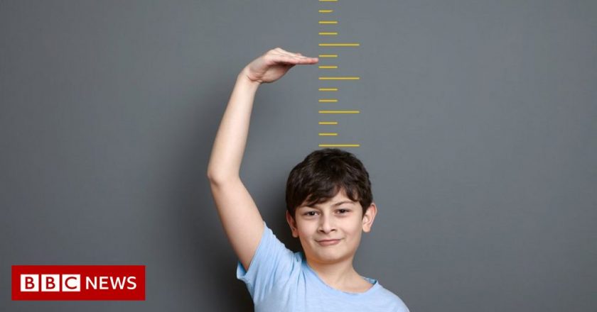 The brain sensor discovery behind humans getting taller – BBC News