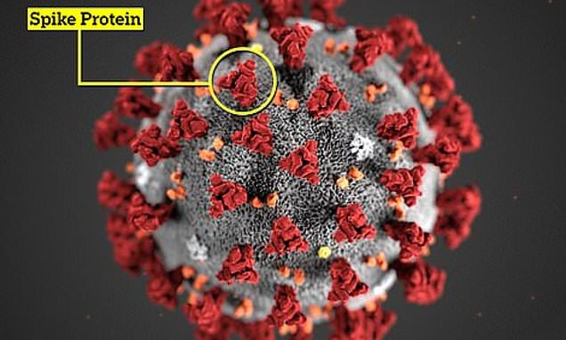 Is THIS why Delta is so infectious? Scientists find little-known mutation on part of Covid variant – Daily Mail