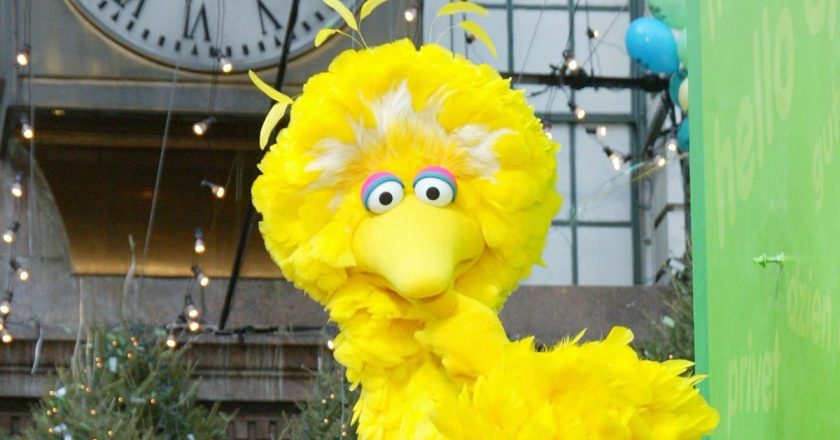 Big Bird has now gotten the COVID-19 vaccine – The A.V. Club