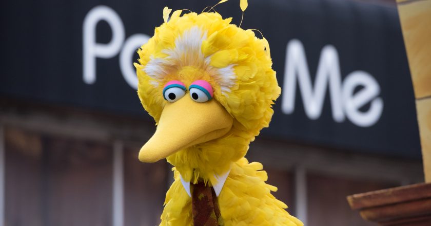 Big Bird Is a Communist: Muppet Vaccination Draws Backlash From Republicans, Conservatives – Newsweek