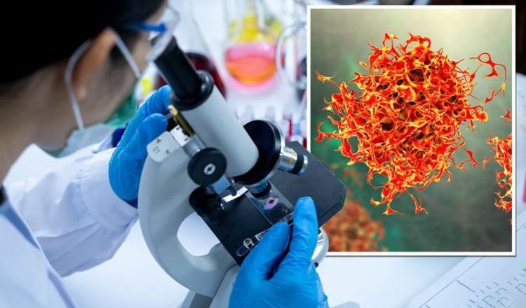 Cancer breakthrough as effective treatment targets major cancers without side effects – Daily Express