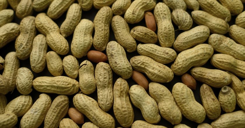 Early treatment could tame peanut allergies in small kids – Associated Press