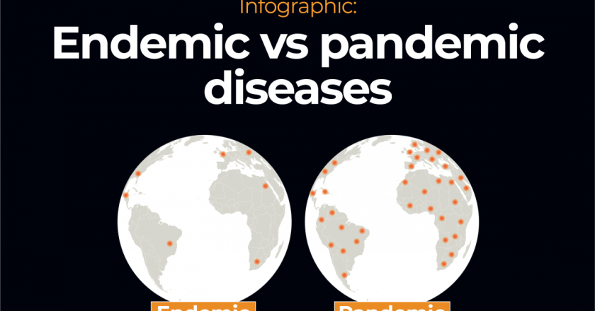 Infographic: Endemic vs pandemic diseases | Infographic News – Al Jazeera English