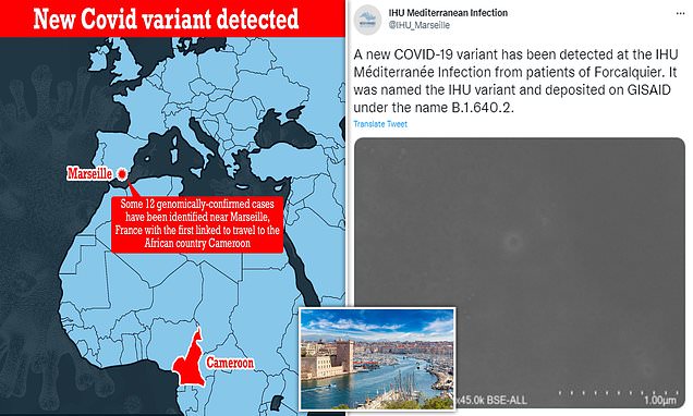 Covid-tracking scientists in France spot ANOTHER variant – Daily Mail