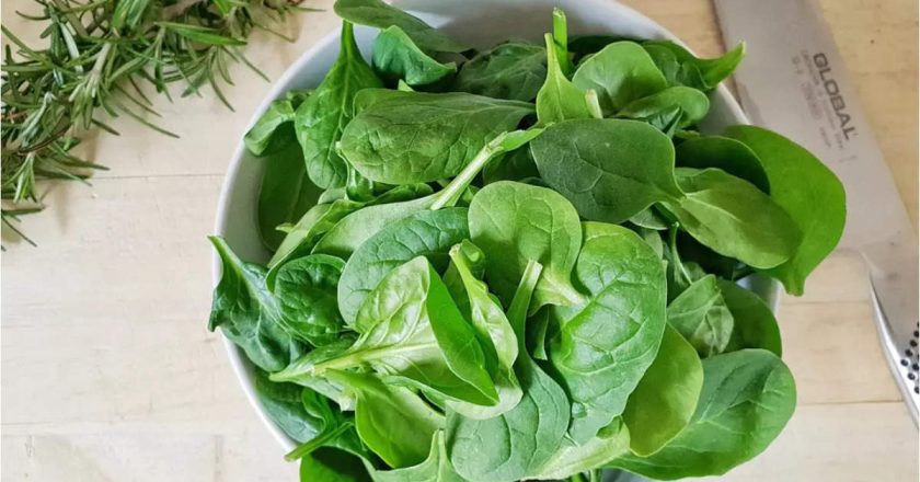 Why you should not eat spinach in excess and people who should avoid it – Times of India