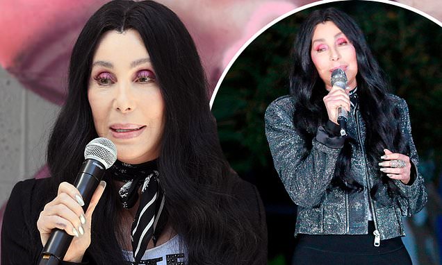 Cher says she wont let her hair grow gray … but that its fine for other girls – Daily Mail