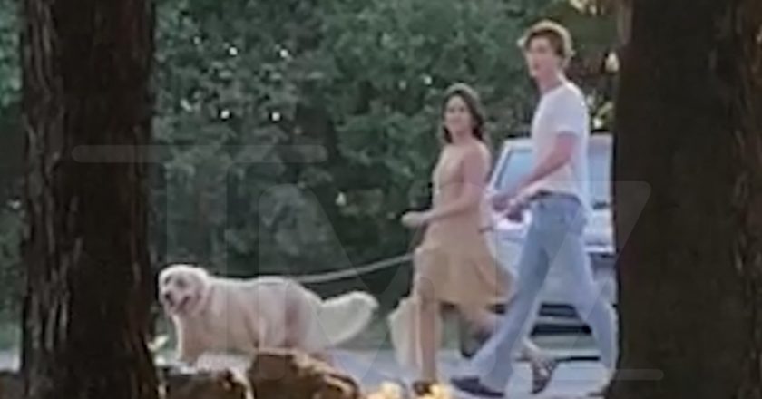 Shawn Mendes and Camila Cabello Spotted Together Walking Dog – TMZ