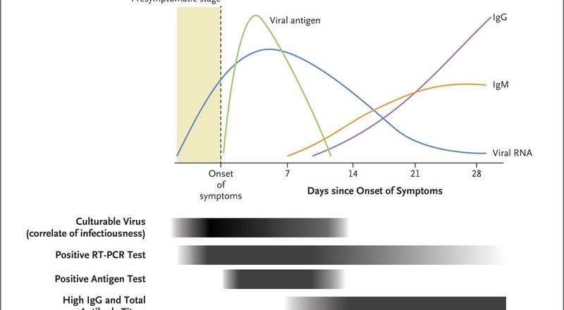 Rapid Diagnostic Testing for SARS-CoV-2 | NEJM – nejm.org