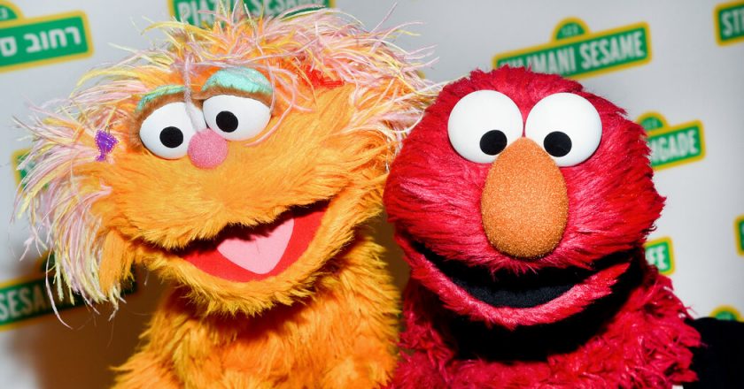 Elmo’s Unhinged Rant About a Pet Rock Resonates With the Exasperated – The New York Times