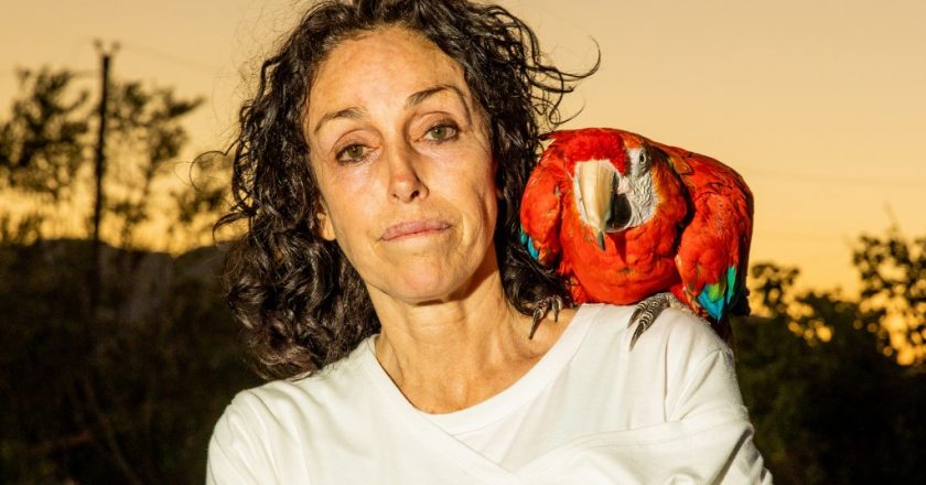 Heidi Fleiss vows to fly out of her Nevada coop after parrot shot: Report – New York Post