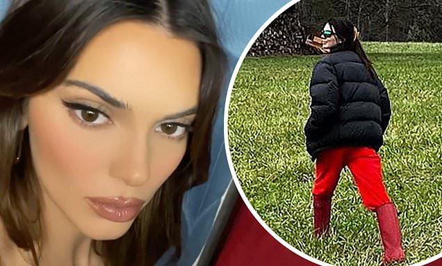 Kendall Jenner tresspasser is arrested after being caught on her property – Daily Mail