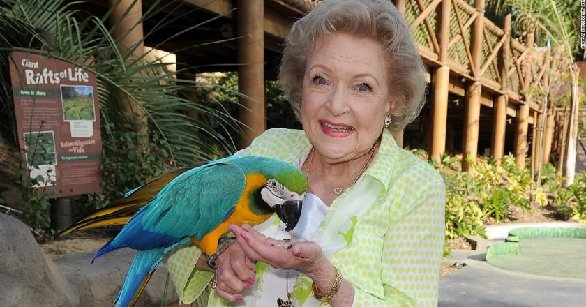 How to support animal lover Betty Whites favorite cause – CNN