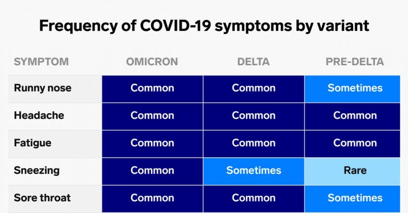 How Omicron symptoms differ from Delta, past COVID-19 variants: charts – Business Insider