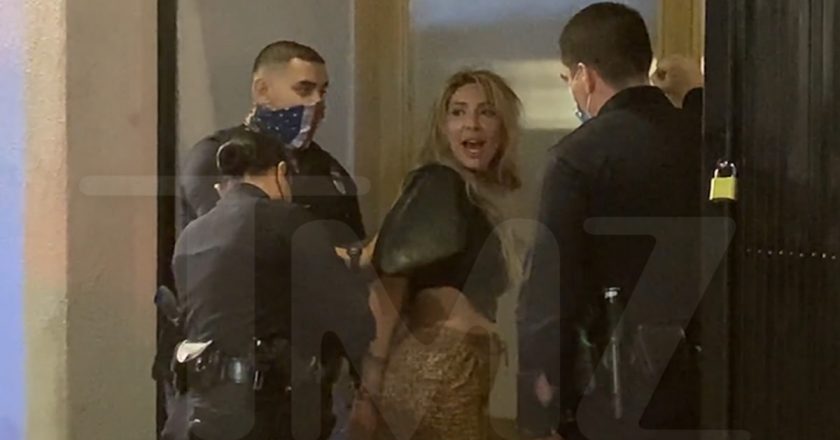 Farrah Abraham Arrested for Battery at Hollywood Nightclub – TMZ