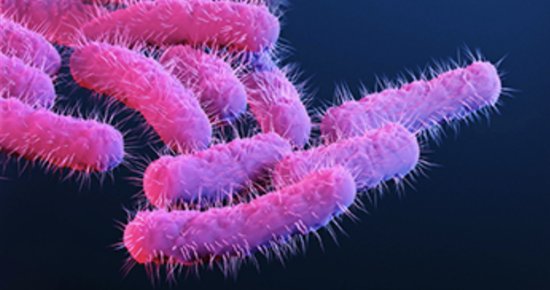 Multiple Shigella Cases in Eureka May Have Spread at Local Laundromats – Lost Coast Outpost