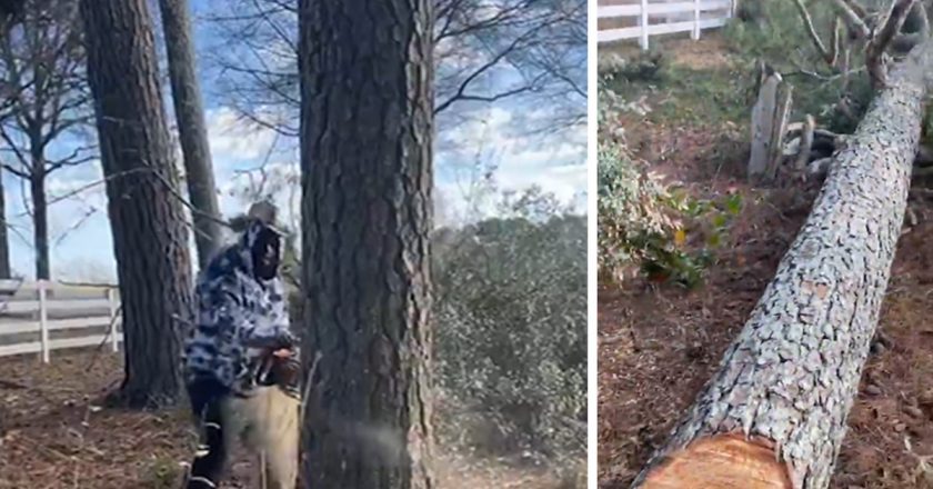 Rick Ross Cuts Down His Own Trees on Atlanta Property, Saves $10k – TMZ