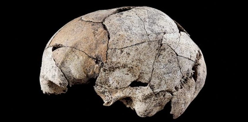 Gruesome Skull Discovery Contains The Earliest Evidence of Ear Surgery – ScienceAlert