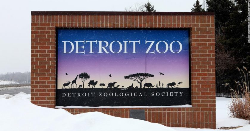 Detroit Zoo moves birds inside due to Avian Influenza concerns – CNN