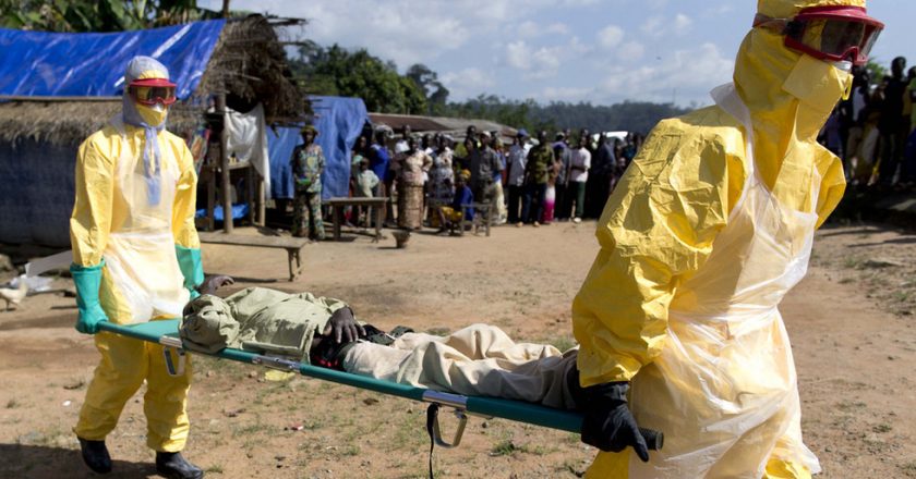 Ebola persists in survivors’ brains for years, re-emerging to spread & kill – study – RT