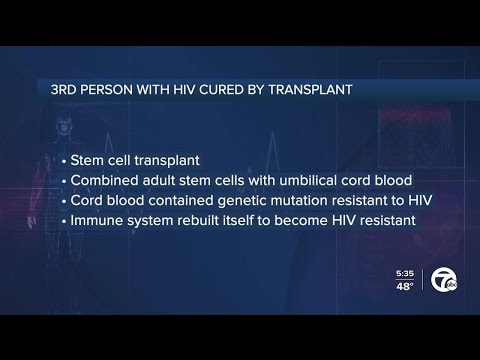 Third person likely cured of HIV using stem cell transplant – WXYZ-TV Detroit | Channel 7