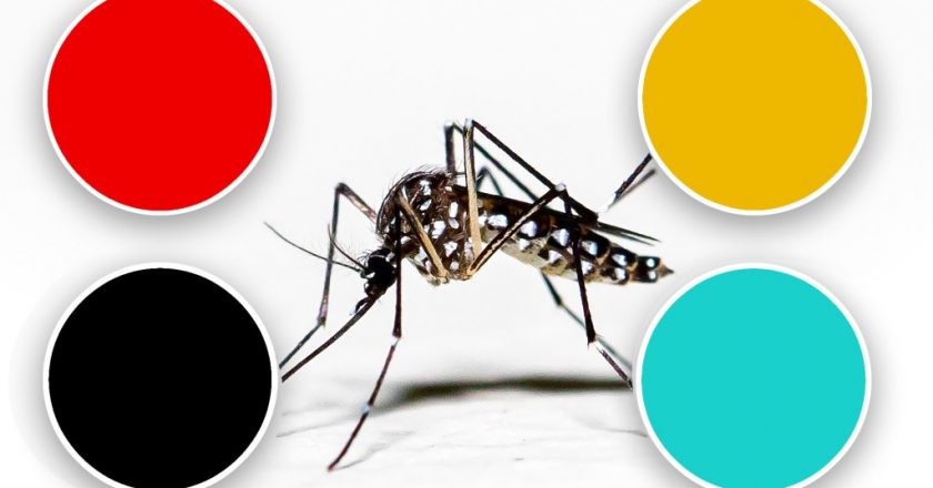 Mosquitoes have a favorite color, and the reason for it is pretty creepy – New York Post