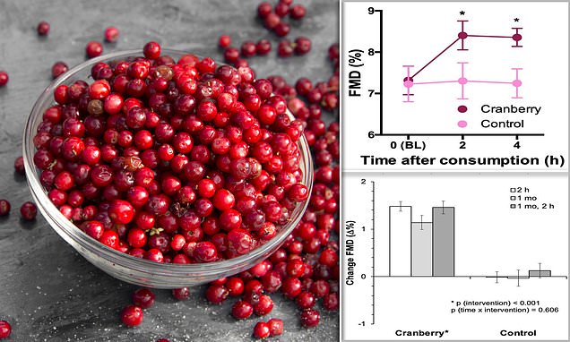 Want a healthier heart? Eat 100g of cranberries every day, scientists say – Daily Mail