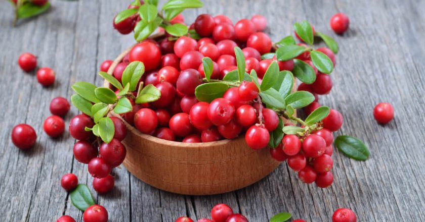 Eating cranberries every day keeps heart disease away, study says – Study Finds