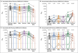 Neutralization Profile after Recovery from SARS-CoV-2 Omicron Infection | NEJM – nejm.org