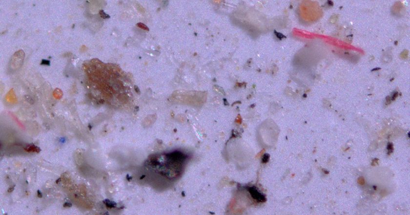 Microplastics have been found in air, water, food and now … human blood – USA TODAY