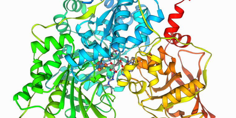 Have a protein you want inhibited? New software can design a blocker – Ars Technica