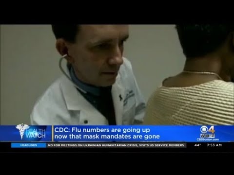 Flu Cases In Massachusetts Up 84% This Week – CBS Boston