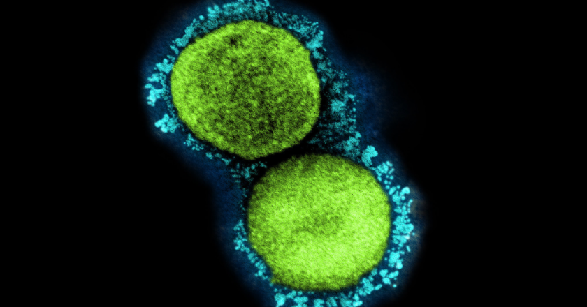 Omicron BA.2 Variant Now Dominant In U.S.; New Cases Of More Transmissible Covid Hitting Northeast Hard – Deadline