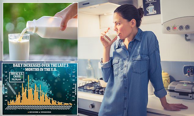 Proteins in MILK have virus inhibiting properties that can help prevent COVID-19 – Daily Mail