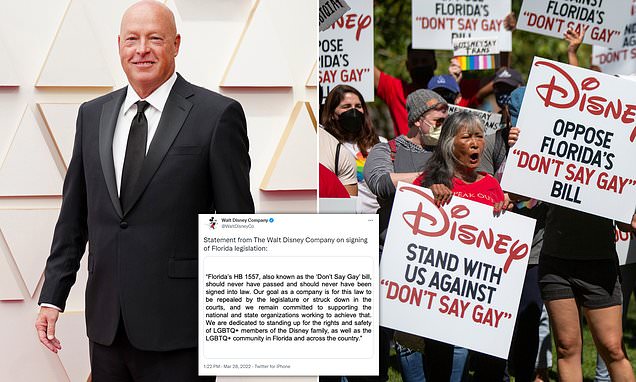 Disney insider reveals anger among staff about firms opposition to Dont Say Gay bill – Daily Mail