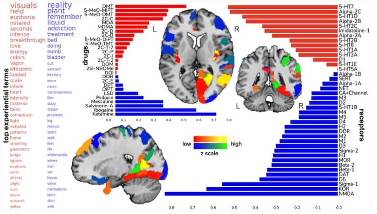 Largest Ever Psychedelics Study Maps Changes of Conscious Awareness to Neurotransmitter Systems – Neuroscience News