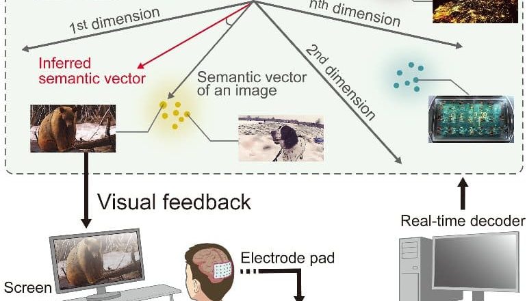 Scientists See What People Picture in Their Mind’s Eye – Neuroscience News