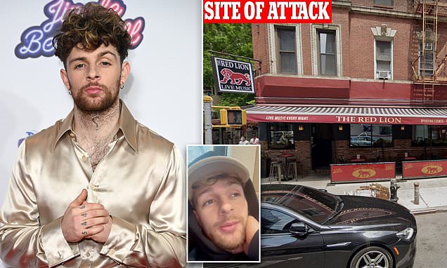 British singer Tom Grennan is punched by stranger in unprovoked attack at a Manhattan bar – Daily Mail