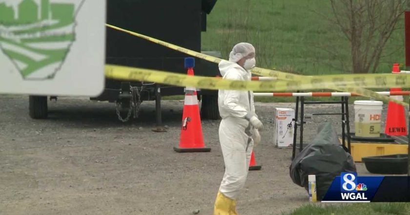 Testing for avian flu underway at Lancaster County farm – WGAL Susquehanna Valley Pa.