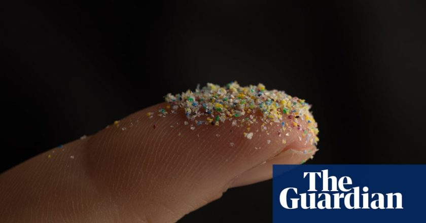 Microplastics found deep in lungs of living people for first time – The Guardian