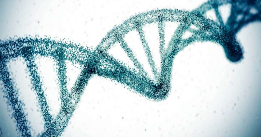 42 previously unknown genes discovered for Alzheimers disease – KSL.com