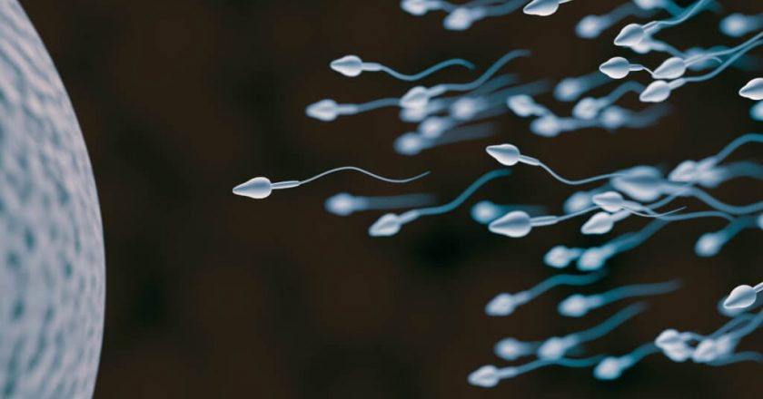 Male infertility may be a new symptom of long COVID – Study Finds