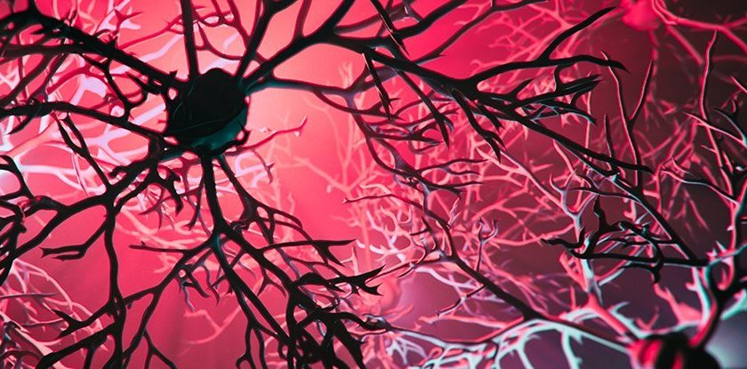 A New Therapy Attacking a Common Virus Shows Huge Promise For Multiple Sclerosis – ScienceAlert