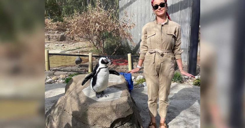 New Kentucky resident Katy Perry hangs out at Louisville Zoo – WLKY Louisville