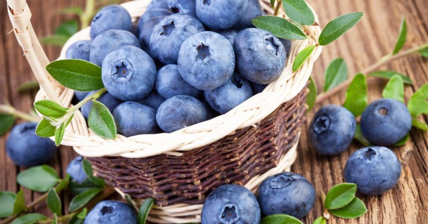 Eating Blueberries Regularly May Reduce Risk of Dementia – SciTechDaily